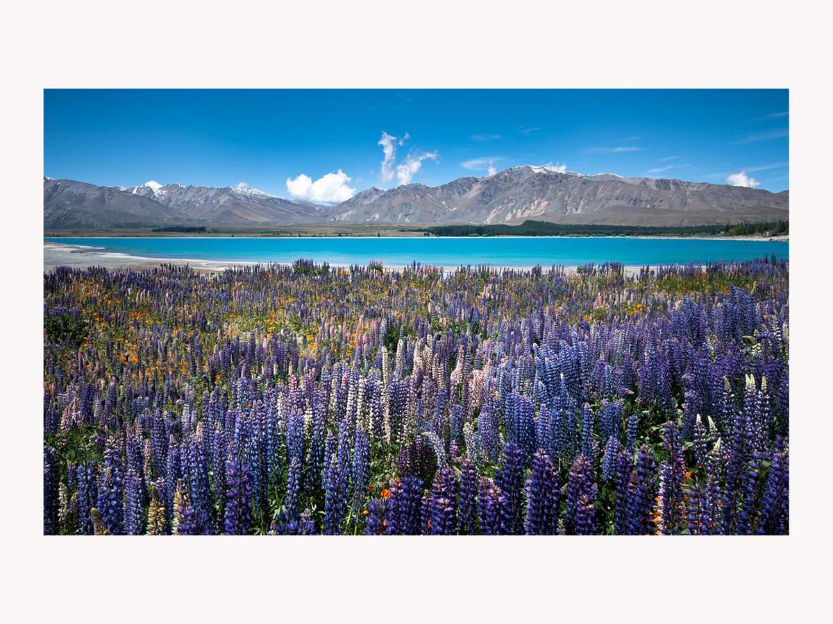 Alpine Suites On Tekapo Luxury B&B Lake Tekapo Eksteriør bilde